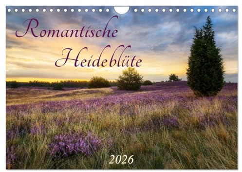 Romantische Heideblüte (Wandkalender 2026 DIN A4 quer), CALVENDO Monatskalender: Ein ganzes Jahr die Heideblüte genießen! (CALVENDO Natur)