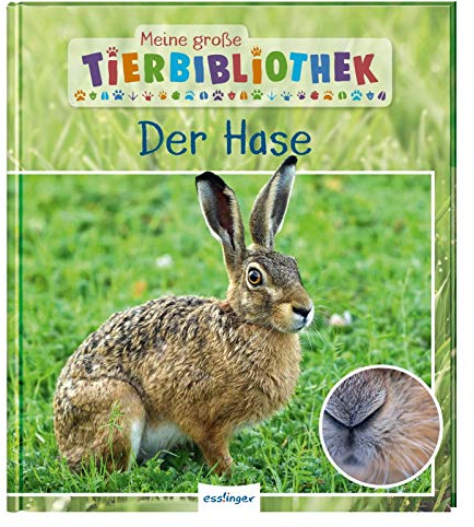 Meine große Tierbibliothek: Der Hase: Sachbuch für Vorschule & Grundschule