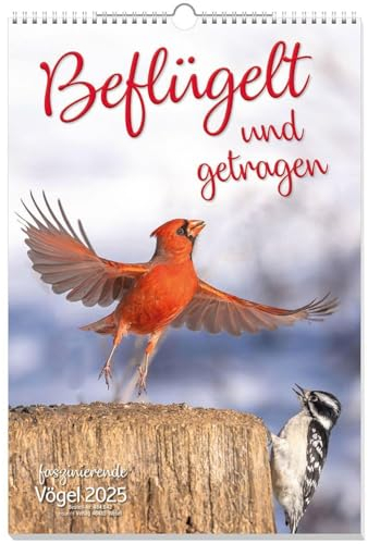 Beflügelt und getragen 2025: Vögel