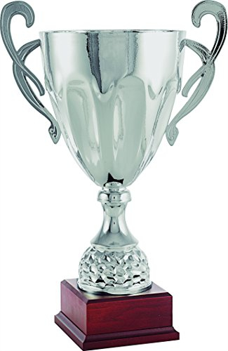 PALLART 7205 – 6 Trofeo Sportivo con Motivo Cono Lagrimas, Argento, Taglia Unica
