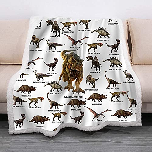 FUMOJI Dinosaurier Muster Fleecedecke Kuscheldecke Flauschig 3D Dino Decke für Kinder Jungen Mädchen (E,150x200cm)