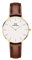 Daniel Wellington Petite Uhr 32mm Double Plated Stainless Steel (316L) Gold
