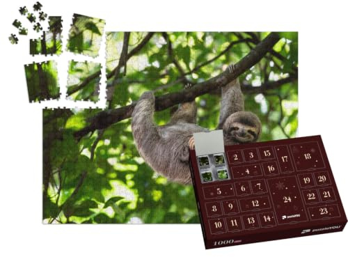 puzzleYOU: Puzzle-Adventskalender | „Niedliches Faultier in Perfekter Pose am Baum“ – aus der Puzzle-Kollektion Faultiere, Exotische Tiere & Trend-Tiere