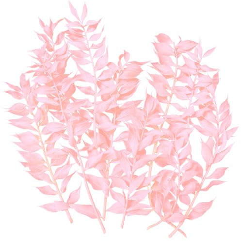 Dried Flowers, Dried Ruscus, Dry Dried Flowers Crafts for DIY Arts Resin Scrapbooking Jewelry Making Floral Decorations Cupcake Decorating (Pink)