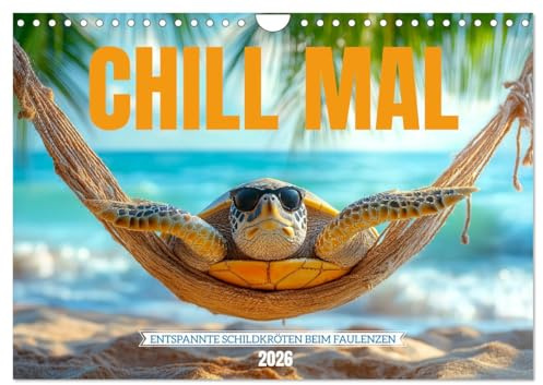 CHILL MAL - Entspannte Schildkröten beim Faulenzen (Wandkalender 2026 DIN A4 quer), CALVENDO Monatskalender
