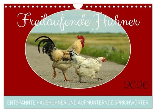 Freilaufende Hühner (Wandkalender 2026 DIN A4 quer), CALVENDO Monatskalender: Unterschiedliche Hühner-Rassen in freier, ländlicher Idylle. (CALVENDO Tiere)