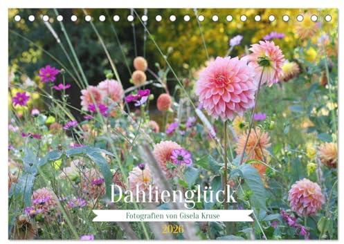 Dahlienglück (Tischkalender 2026 DIN A5 quer), CALVENDO Monatskalender: Dahlien erzeugen Glücksgefühle (CALVENDO Natur)