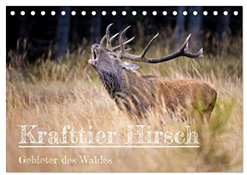 Krafttier Hirsch (Tischkalender 2026 DIN A5 quer), CALVENDO Monatskalender: Die besondere Magie von Krafttier Hirsch (CALVENDO Tiere)