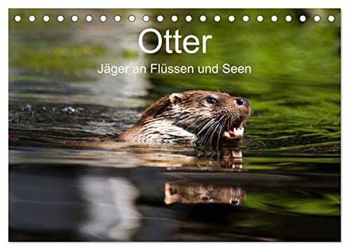 Otter - Jäger an Flüssen und Seen (Tischkalender 2026 DIN A5 quer), CALVENDO Monatskalender: Otter - geschickte Jäger im Wasser (CALVENDO Tiere)