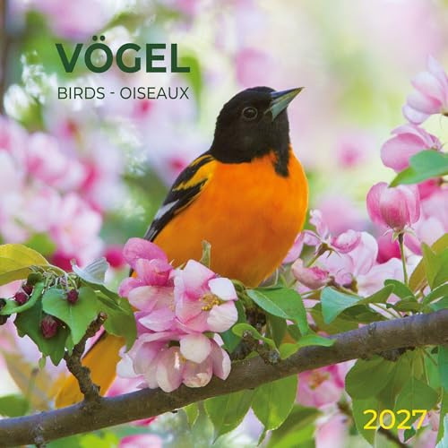 Vögel / Birds 2027: Kalender 2027 (Artwork Edition)