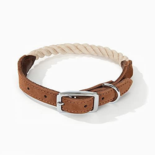 Mile High Life Collier pour Chien en Corde de Coton Qualité Supérieure avec Acier Inoxydable Boucle Ardillon Collier en Cuir Véritable(S, Beige)