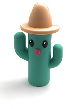 Onwomania Cactus avec Chapeau de Paille Cactus Plante Verte Clé USB Clé USB 8 Go USB 3.0