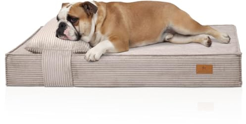 Knuffelwuff orthopädisches Hundebett Soleya 135x90cm Hellgrau | Cord Hundebett mit Kopfkissen | Memory Foam Matratze | gelenkschonend & formstabil | Bezug waschbar 30 °C | für kleine bis große Hunde