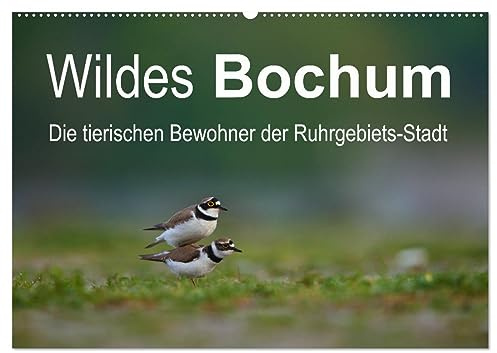 Wildes Bochum (Wandkalender 2026 DIN A2 quer), CALVENDO Monatskalender: Alle Fotos der Tiere sind in Bochum aufgenommen worden. (CALVENDO Orte)