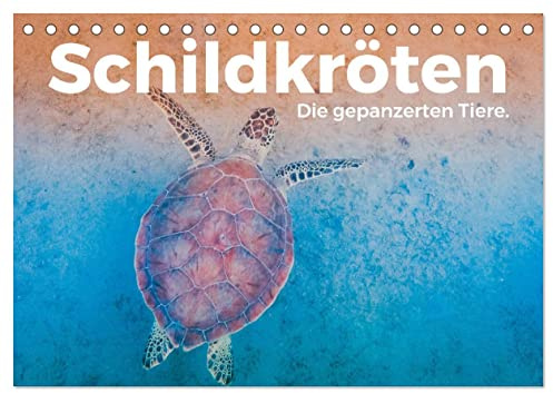 Schildkröten - Die gepanzerten Tiere. (Tischkalender 2026 DIN A5 quer), CALVENDO Monatskalender: Tauchen Sie ein in die tolle Welt der Schildkröten. (CALVENDO Orte)