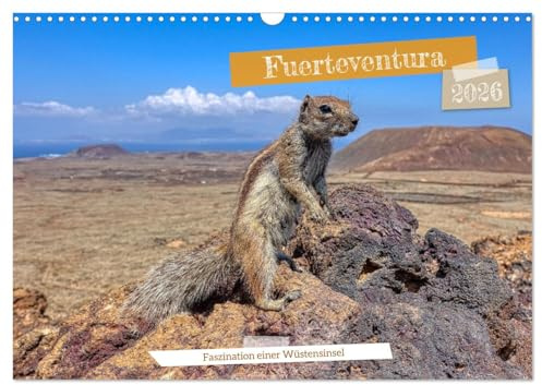 Fuerteventura - Faszination einer Wüsteninsel (Wandkalender 2026 DIN A3 quer), CALVENDO Monatskalender: Impressionen von der Wüsteninsel der Kanaren (CALVENDO Orte)