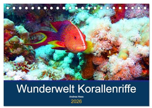 Wunderwelt Korallenriffe (Tischkalender 2026 DIN A5 quer), CALVENDO Monatskalender: Farbenpracht und Artenvielfalt unter Wasser (CALVENDO Hobbys)