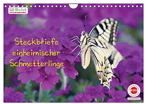 GEOclick Lernkalender: Steckbriefe einheimischer Schmetterlinge (Wandkalender 2026 DIN A4 quer), CALVENDO Monatskalender: Fotos aus dem ... mit kindgerechten Texten (CALVENDO Tiere)