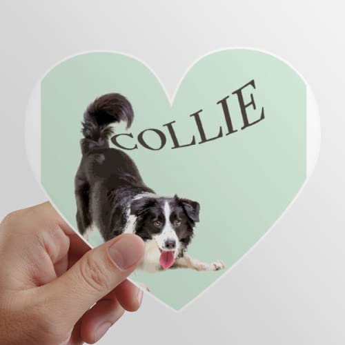 Border Collie Farm Pet Art Déco Moda Cuore Vinile Adesivo Bicicletta Bottiglia Decalcomania