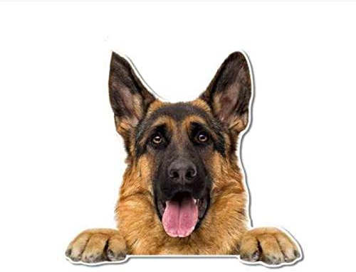 GAETOYEN Auto Sticker Autoaufkleber Lustig Dog Auto-Aufkleber Für Belgischer Schäferhund Malinois Police Rescue Guard Dog Graphics Funny Bumper Wall Laptop Decals(15Cm) C1S3902(1PCS)