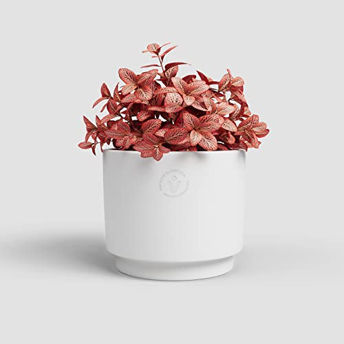 Artevasi Maceta Echo de 17 cm, Color Blanco, cerámica, 16,5 cm