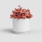 Artevasi Maceta Echo de 17 cm, Color Blanco, cerámica, 16,5 cm