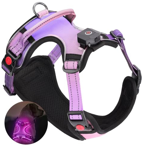 DAISTERN von BSWAY LED Hundegeschirr