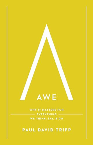Awe: Why It Matters for Everything We Think, Say, and Do (with Study Questions)