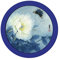 Cadre photo rond bricolage cadre photo en bois à suspendre au mur cadre photo mural décoration salon cadre photo (couleur : cadre photo bleu marine, taille : 17,8 cm)