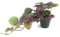 Leaf Design UK Realistic Artificial Foliage Plant with Pot, 35cm