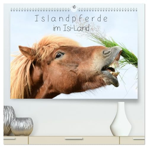 Islandpferde im Isi-Land (hochwertiger Premium Wandkalender 2026 DIN A2 quer), Kunstdruck in Hochglanz: Erleben Sie Islandpferde in ihrer natürlichen Umgebung und ganzen Schönheit (CALVENDO Tiere)