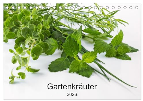 Gartenkräuter (Tischkalender 2026 DIN A5 quer), CALVENDO Monatskalender: Frische Würze direkt aus dem Garten (CALVENDO Lifestyle)