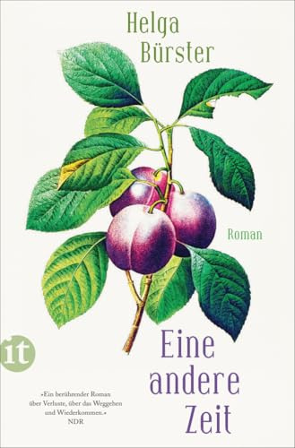 Eine andere Zeit: Roman | Die berührende Geschichte zweier Schwestern nach der Wende | Die perfekte Urlaubslektüre für den Sommer (insel taschenbuch)
