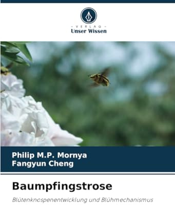 Baumpfingstrose: Blütenknospenentwicklung und Blühmechanismus