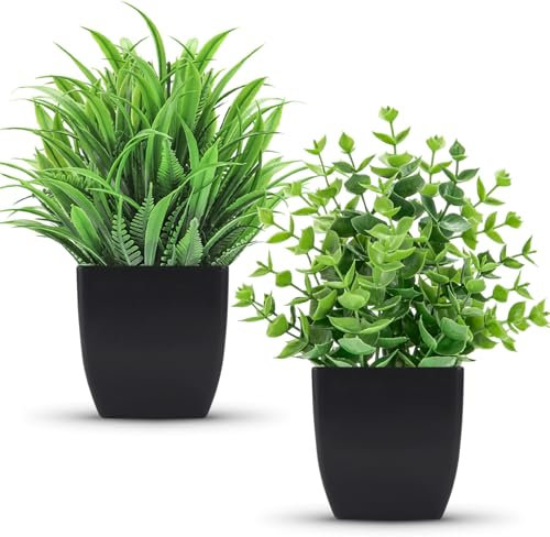 Der Rose Lot de 2 Petites Fausses Plantes, Plantes Artificielles en Pot dans des Pots Noirs pour la Maison, le Bureau, la Salle de Bain