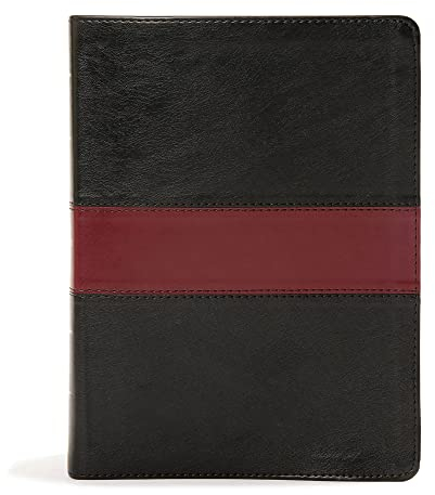 KJV Apologetics Study Bible, Black/Red Leathertouch Indexed