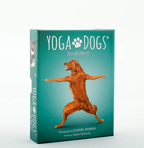 Yoga Dogs Deck and Book Set