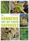 La vannerie avec des plantes sauvages