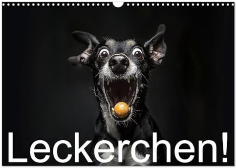 Leckerchen! (Wandkalender 2026 DIN A3 quer), CALVENDO Monatskalender: Hunde fangen Leckerchen (CALVENDO Spass)