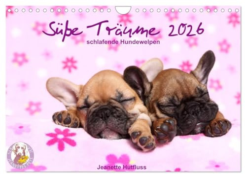Süße Träume 2026 - schlafende Hundewelpen (Wandkalender 2026 DIN A4 quer), CALVENDO Monatskalender: träumen Sie mit ... (CALVENDO Tiere)