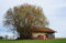 HANSEPUZZLE 11456 - Baum-Haus Puzzle 500 Teile | Gebäude Puzzle mit hochwertiger Puzzle Aufbewahrung: Kartonbox und Wieder verschließbarem Beutel | Puzzle-Maße: 46 x 30 cm