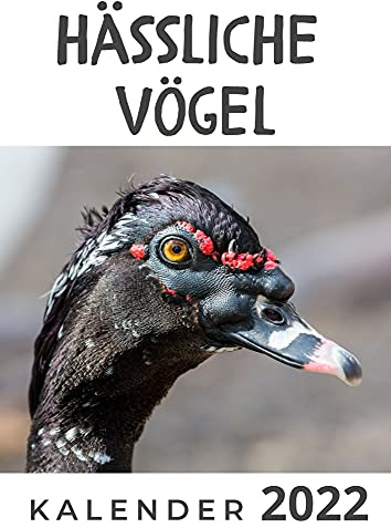 Hässliche Vögel: Kalender 2022