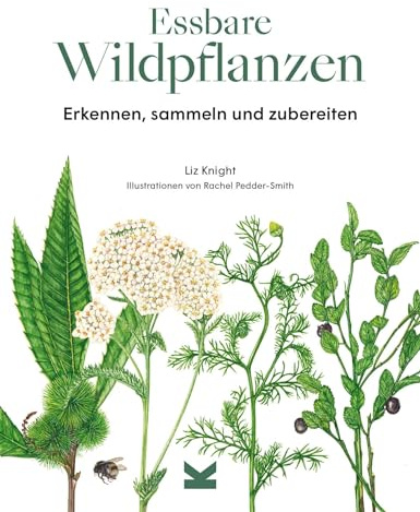 Essbare Wildpflanzen. Erkennen, sammeln und zubereiten