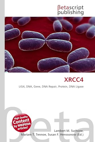 XRCC4: LIG4, DNA, Gene, DNA Repair, Protein, DNA Ligase