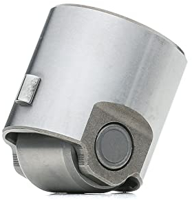 Borsehung Stössel Hochdruckpumpe B18195