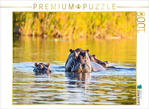 CALVENDO Puzzle Nilpferdfamilie | 1000 Teile Lege-Größe 64 x 48 cm Foto-Puzzle für glückliche Stunden