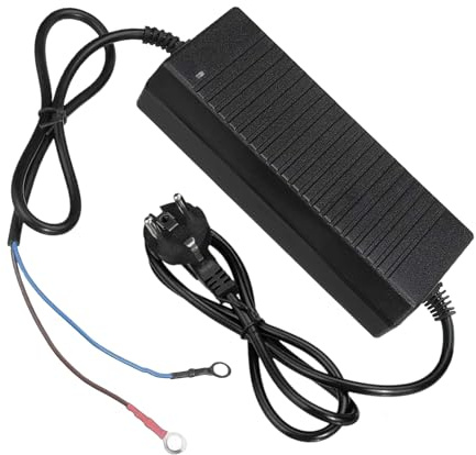 12V Standheizung Netzteil, 110V/220V Auf 12V Transformator-Leistungswandler Für 180W Dieselbetriebene Standheizungen, Spannungswandler Für LKW, Transporter,