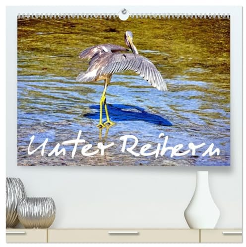 Unter Reihern (hochwertiger Premium Wandkalender 2026 DIN A2 quer), Kunstdruck in Hochglanz: Blaureiher, Grünreiher und Kuhreiher in Kuba (CALVENDO Natur)