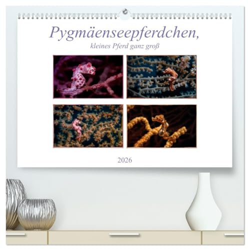 Pygmäenseepferdchen, kleines Pferd ganz groß (hochwertiger Premium Wandkalender 2026 DIN A2 quer), Kunstdruck in Hochglanz: Pygmäenseepferdchen ist ... kleiner als 2 cm (CALVENDO Tiere)