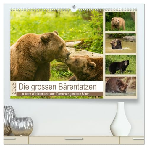Die grossen Bärentatzen (hochwertiger Premium Wandkalender 2026 DIN A2 quer), Kunstdruck in Hochglanz: Spezielle Bilder von Bären in freier Wildbahn ... geretteten Tieren. (CALVENDO Tiere)
